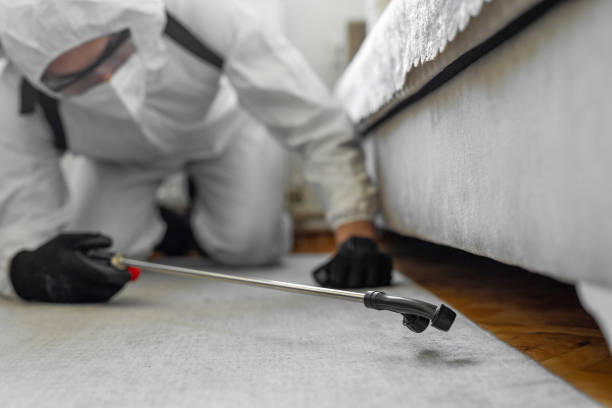 Professional Ant Control technician working in Farmersville, CA