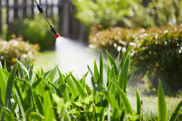 24/7 Emergency Ant Control experts in Farmersville, CA