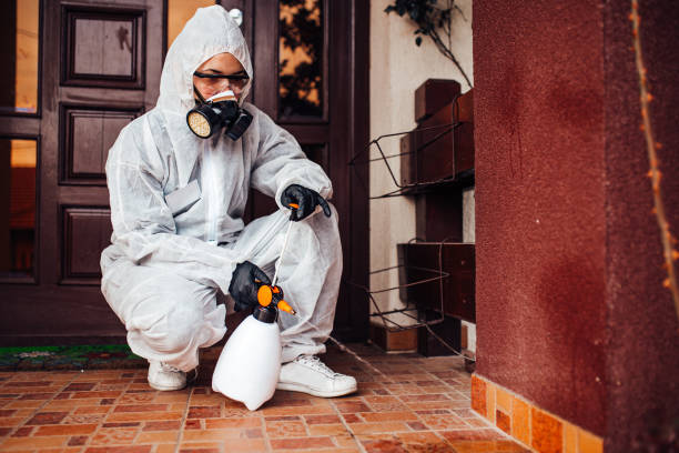 Reliable Ant Control contractor in Farmersville, CA by Nex Pest Control